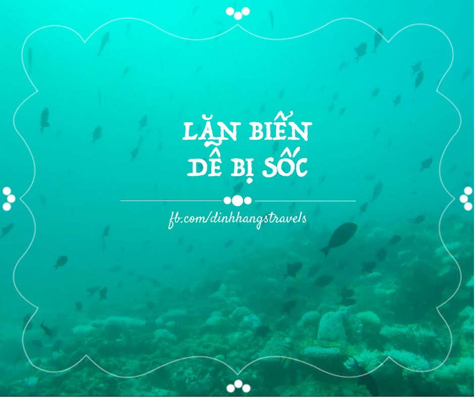 ĐỪNG BAO GIỜ ĐẾN MALDIVES!